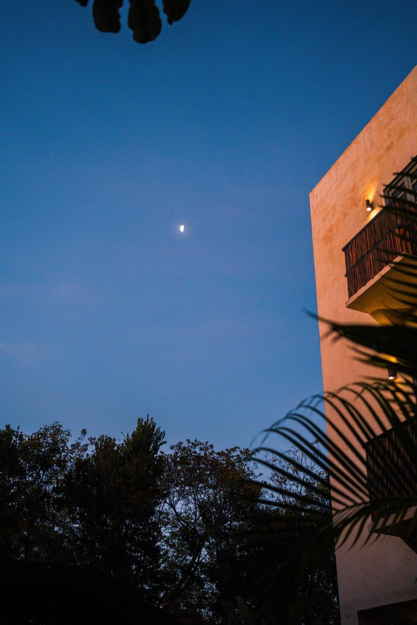 Botånica Tulum Hotell Eksteriør bilde